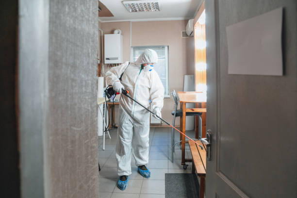 Best Environmental Consulting for Mold Prevention  in Fresno, CA