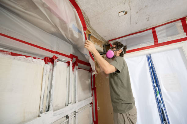 Best Dehumidification Services  in Fresno, CA