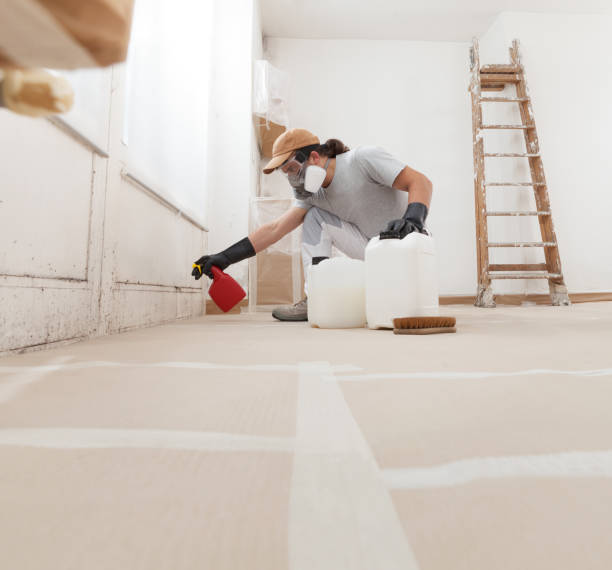 Fresno, CA Mold Removal Company